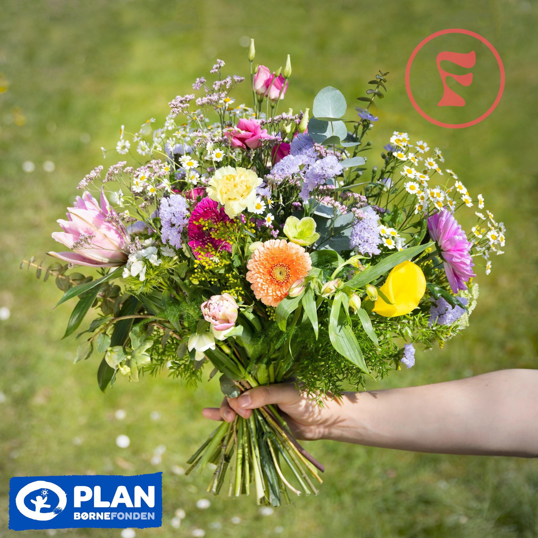 Giv din mor miljøvenlige blomster på mors dag